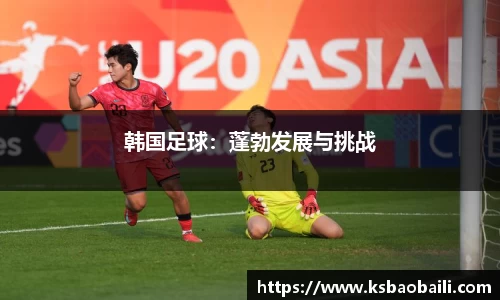 韩国足球：蓬勃发展与挑战